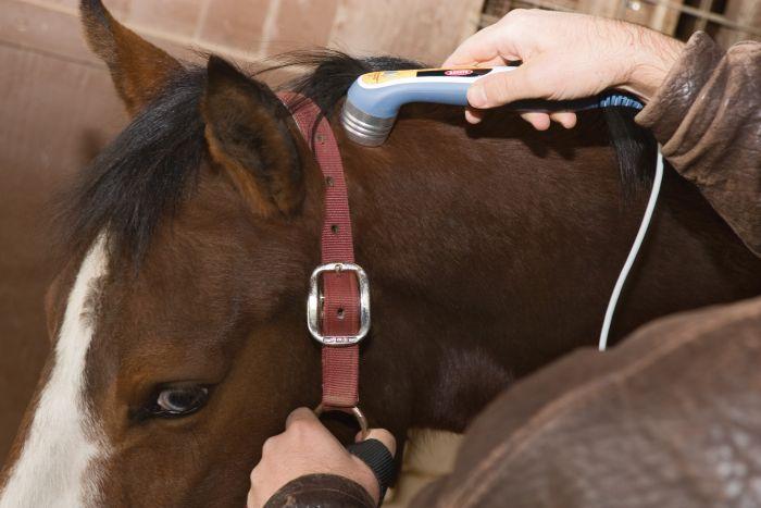 Chattanooga Laser Therapy Module for Intelect Vet