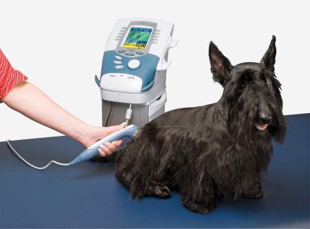 Chattanooga Laser Therapy Module for Intelect Vet