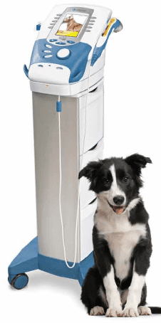 Intelect Laser Chattanooga Laser Therapy Module for Intelect Vet – Shop Rehab