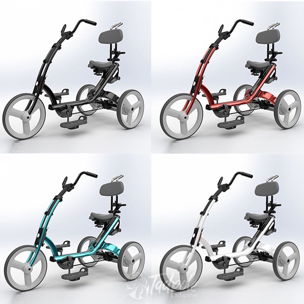Rifton New Large Adaptive Tricycle (X340)