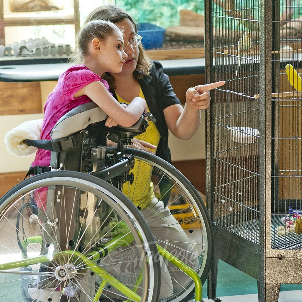 Rifton Mobile Stander